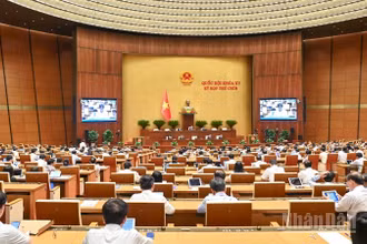 Quang cảnh phiên họp của Quốc hội, ngày 11/6/2025. (Ảnh: DUY LINH)