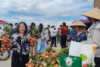 Du khách trải nghiệm thu hoạch và thưởng thức vải thiều tại xã Thanh Sơn, huyện Thanh Hà. (Ảnh: QUỐC VINH)