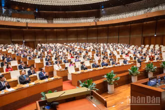 Quang cảnh phiên họp của Quốc hội, sáng 27/6/2025. (Ảnh: DUY LINH)