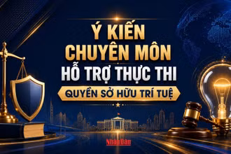 [Infographic] Ý kiến chuyên môn hỗ trợ thực thi quyền sở hữu trí tuệ