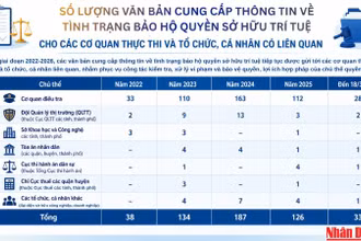 [Infographic] Số lượng văn bản cung cấp thông tin về tình trạng bảo hộ quyền sở hữu trí tuệ