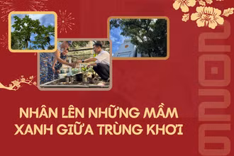 Nhân lên những mầm xanh giữa trùng khơi
