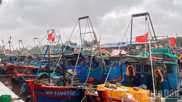 Các phương tiện đã được Bộ đội Biên phòng thành phố Hải Phòng kêu gọi tránh, trú an toàn tại các bến.