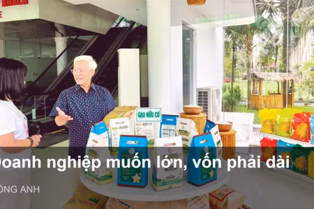 Ông Phạm Thái Bình, Chủ tịch Hội đồng quản trị Công ty cổ phần nông nghiệp công nghệ cao Trung An. (Ảnh: TUYẾT ANH)