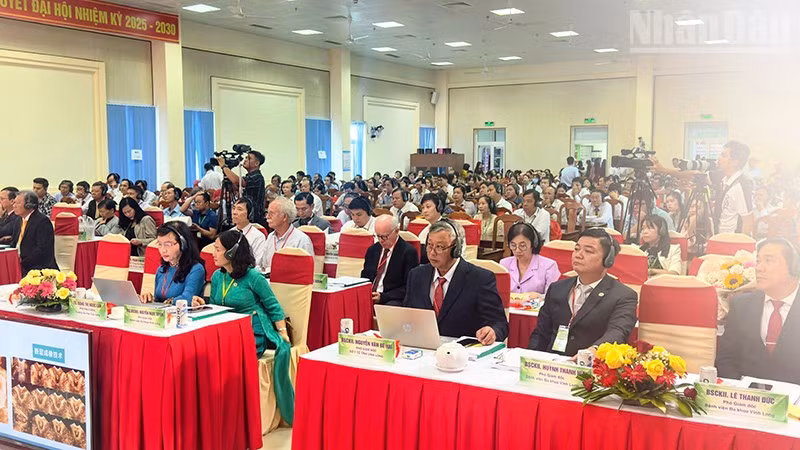 ndo_tr_anh-4-benh-vien-hoi-nghi.jpg