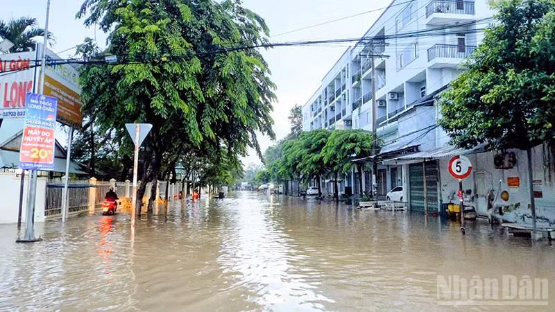 ndo_br_anh-4-trieu-cuong.jpg