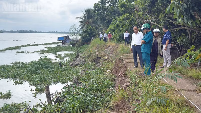 ndo_tl_anh-2-khao-sat.jpg