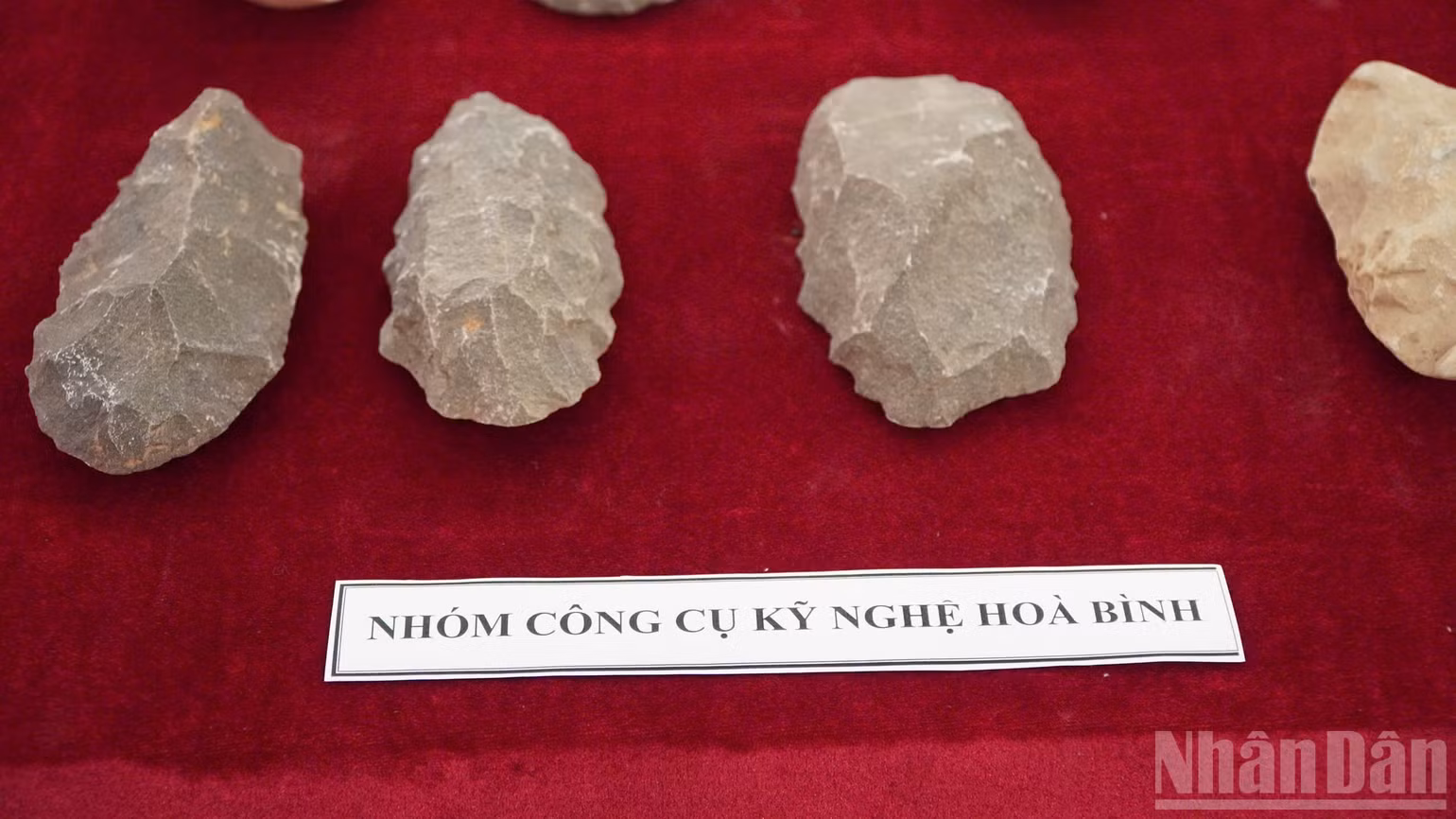 ndo_br_img-9774.jpg