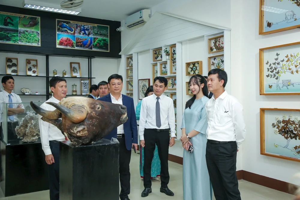 Từ rừng Trường Sơn đến đầm phá Tam Giang