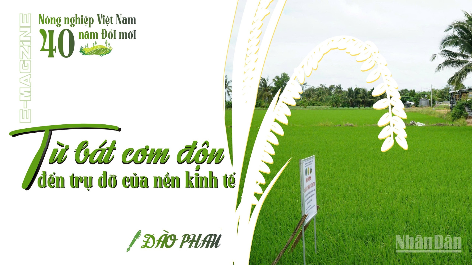 Từ bát cơm độn đến trụ đỡ của nền kinh tế