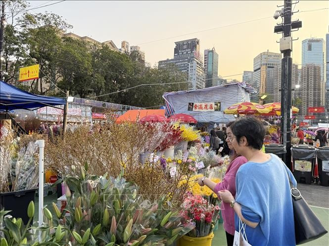 Chợ hoa Xuân thu hút đông khách tham quan, mua sắm mỗi ngày. (Ảnh: TTXVN)