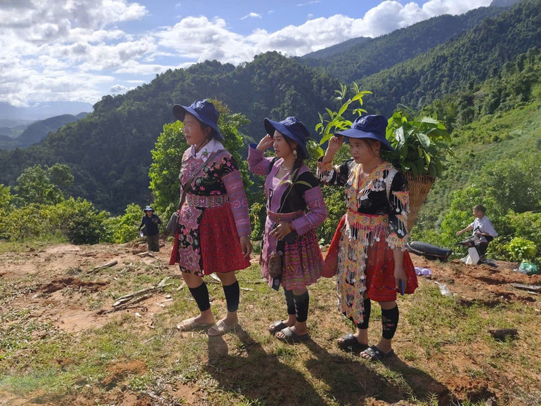 Người dân bản Pha Luông, xã Chiềng Sơn (Sơn La) hăng hái tham gia trồng rừng. (Ảnh: VĂN THỊNH) nguoi-dan-pha-luong.jpg