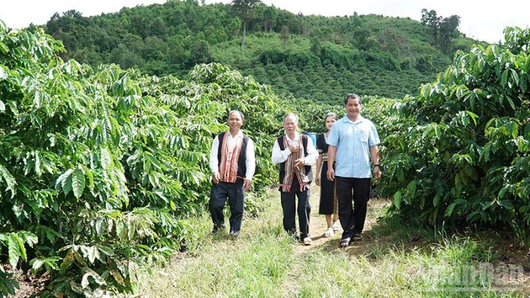 Đội ngũ già làng, trưởng thôn, người có uy tín trong đồng bào dân tộc thiểu số ở Quảng Ngãi thể hiện rõ vai trò cầu nối giữa cấp ủy, chính quyền với đồng bào các dân tộc, góp phần xây dựng hệ thống chính trị tại địa phương. (Ảnh HIỂN CỪ) ndo_br_gen-h-24-9427.jpg