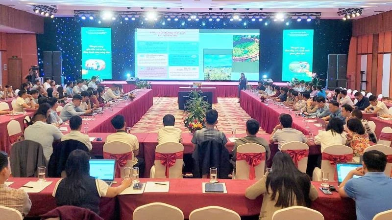 Hội nghị tập huấn “Bàn giải pháp nâng cao hiệu quả hoạt động khuyến nông cơ sở trong mô hình tổ chức chính quyền địa phương 2 cấp” được tổ chức tại tỉnh Quảng Trị.