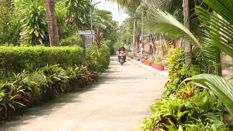 Quê hương Ấp Bắc đổi thay sau năm tháng chiến tranh.