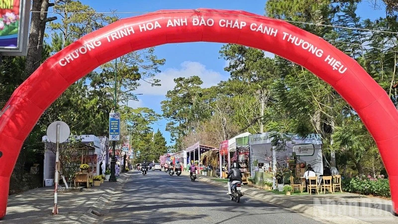 Không gian tổ chức chương trình “Hoa mai anh đào chắp cánh thương hiệu Đà Lạt”.