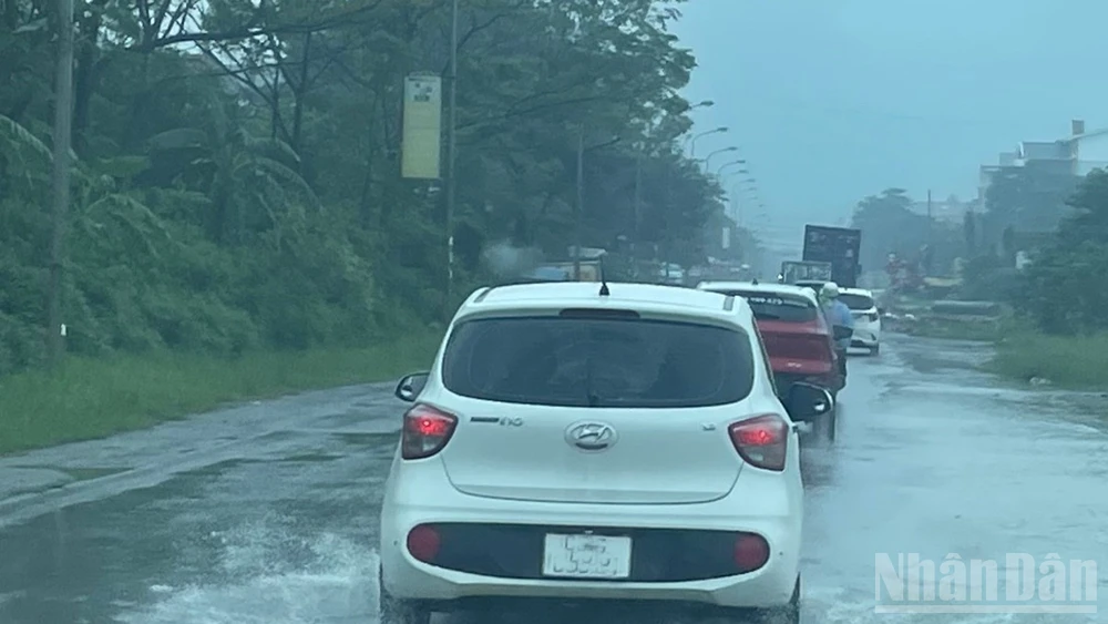 Ảnh minh họa: Đ.T