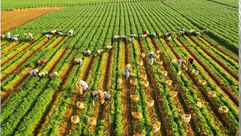 Tác phẩm “Nghề truyền thống” của tác giả Nguyễn Hải Đăng đoạt giải Ba.