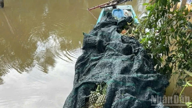 Tang vật tạm giữ của các đối tượng. (Ảnh: Công an cung cấp)