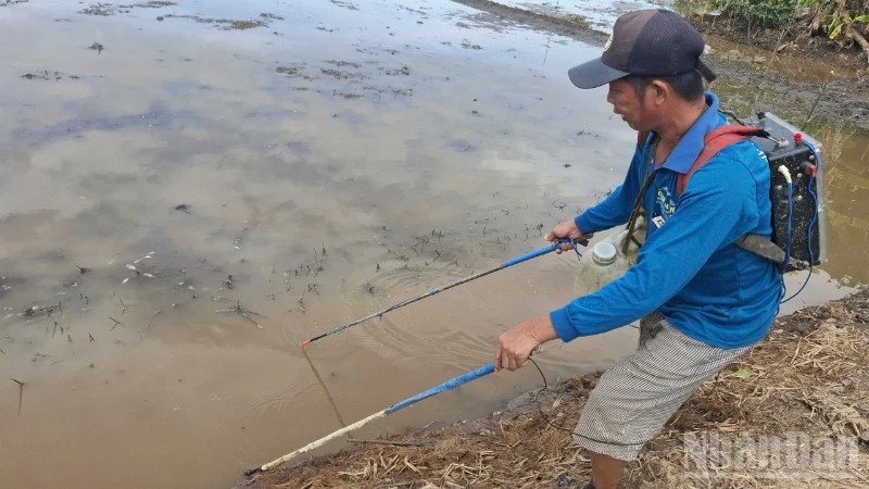 Một người dân dùng xung điện đánh bắt thủy sản tại phường Mỹ Phước Tây, tỉnh Đồng Tháp.
