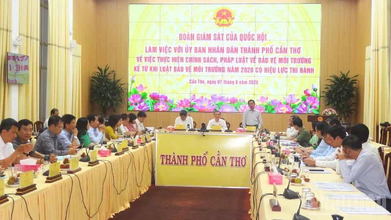 Quang cảnh buổi làm việc.