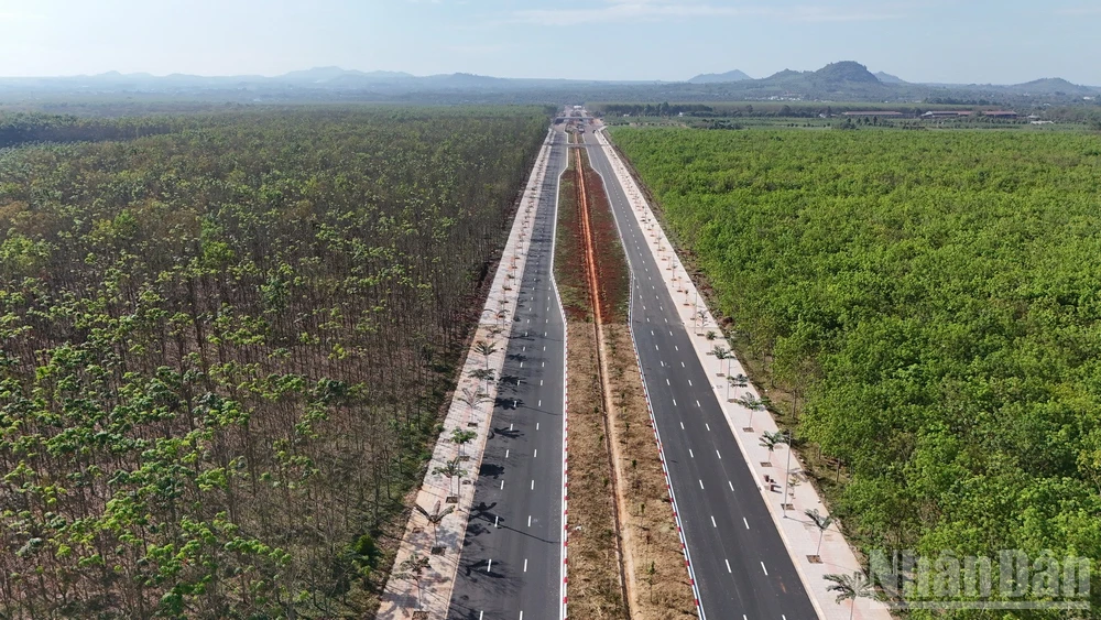 Đường Vành đai 1 Long Khánh xuyên qua rừng cao-su.
