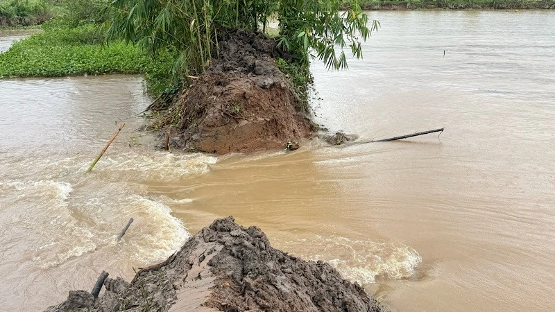Một đoạn đê bao cồn Sơn bị vỡ sáng nay.
