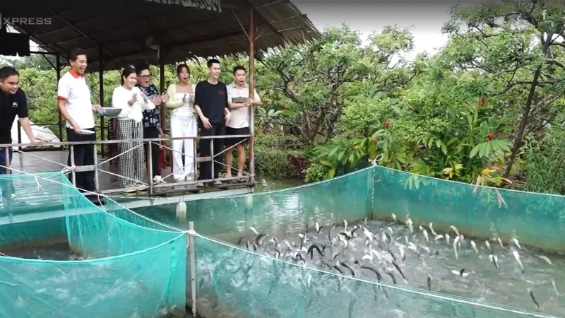 Du khách thích thú xem "cá lóc bay" ở làng du lịch cộng đồng cồn Sơn.