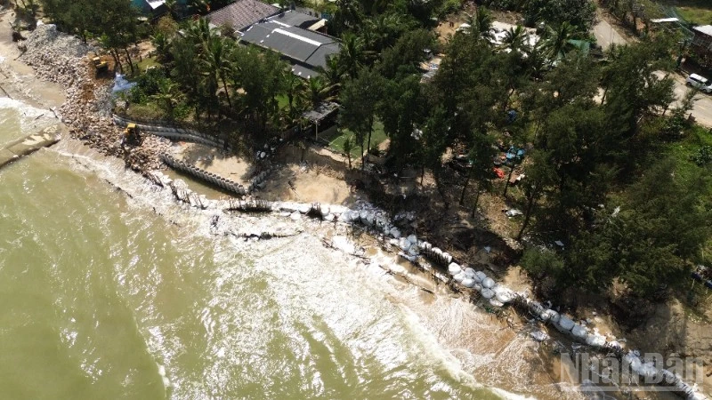 Hàng trăm mét bờ biển đoạn qua địa phận khối phố Tân Thành, phường Cẩm An sạt lở nghiêm trọng.