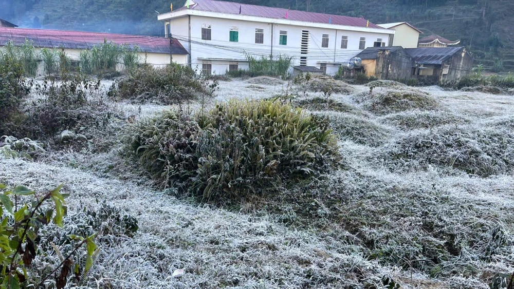 Băng giá xuất hiện tại xã Sà Phìn, tỉnh Tuyên Quang vào sáng 29/11.