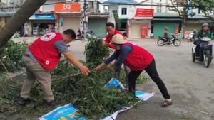 Hội Chữ thập đỏ tỉnh Hà Tĩnh khắc phục hậu quả do bão số 5 gây ra. 