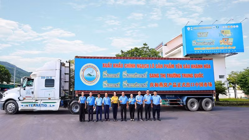 Xuất khẩu chính ngạch sản phẩm yến sào sang thị trường Trung Quốc. (Ảnh: CTV) 