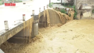 [Video] 47 người tử vong, mất tích do thiên tai