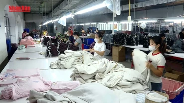 [Video] Thu nhập người lao động tăng hơn 10% trong nửa đầu năm