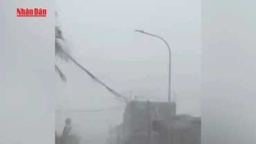 [Video] Thủ tướng chỉ đạo khẩn trương ứng phó với bão số 3 