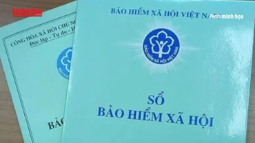 [Video] Ghi nhận thời gian chủ hộ kinh doanh đã đóng BHXH bắt buộc trước ngày 1/7/2025