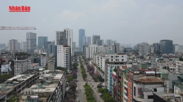 [Video] Hà Nội ban hành quy trình, định mức kinh tế, kỹ thuật công tác quản lý vận hành quỹ nhà đất công