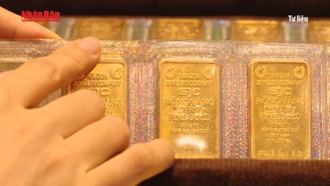 [Video] Giá vàng miếng SJC và vàng nhẫn bất ngờ giảm sâu 