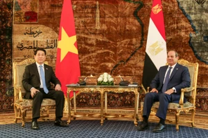 Chủ tịch nước Lương Cường và Tổng thống Ai Cập tại hội đàm. (Ảnh: XUÂN KỲ)