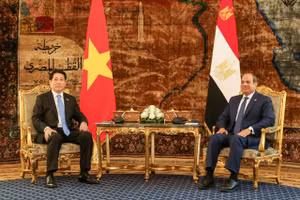 Chủ tịch nước Lương Cường và Tổng thống Ai Cập tại hội đàm. (Ảnh: XUÂN KỲ)