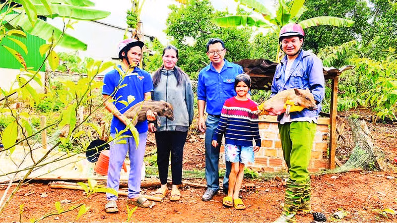 Mô hình sinh kế tặng heo giống tạo động lực để học sinh nghèo có điều kiện đến trường.