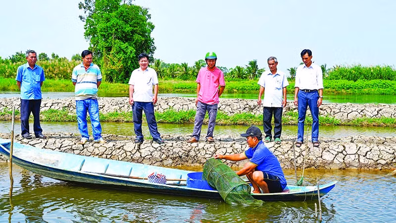 Nhờ áp dụng khoa học kỹ thuật vào nuôi tôm, nông dân xã Vĩnh Thuận giảm chi phí đầu vào đáng kể, trong khi lợi nhuận tăng cao.