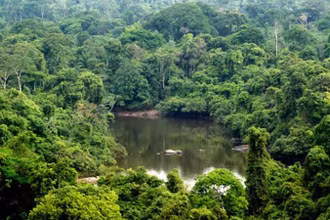 Khu bảo tồn Alto Maues của Brazil. (Nguồn: www.wwf.org.br/TTXVN)