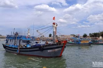 Tàu cá từ 15m trở lên phải có hệ thống giám sát hành trình hoạt động ổn định trước khi xuất bến.