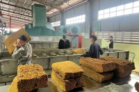 Lô sản phẩm cao-su đầu tiên mang thương hiệu SVR10 và SVR20 được sản xuất tại Nhà máy chế biến mủ cao-su Điện Biên.