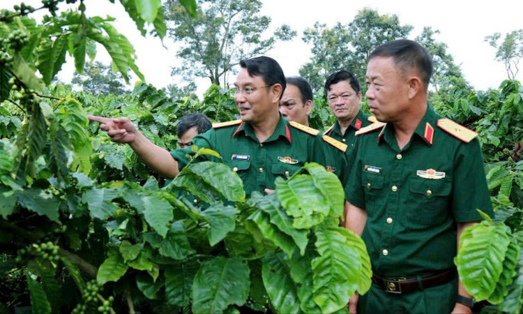 Đại diện Công ty Cà-phê 15 tham quan vườn.