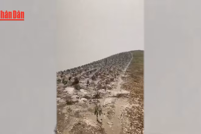 [Video] Mưa đá rơi trắng xóa tại Sơn La