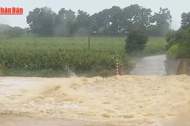 [Video] Bảo đảm an toàn công trình thủy lợi trước mưa lũ 