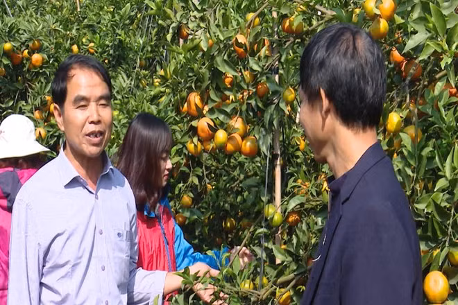 [Video] Hà Nội thu 2 tỷ USD từ xuất khẩu nông nghiệp