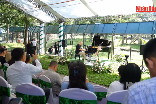 [Video] Những giai điệu giữa rừng Tam Đảo dành tặng những chú gấu